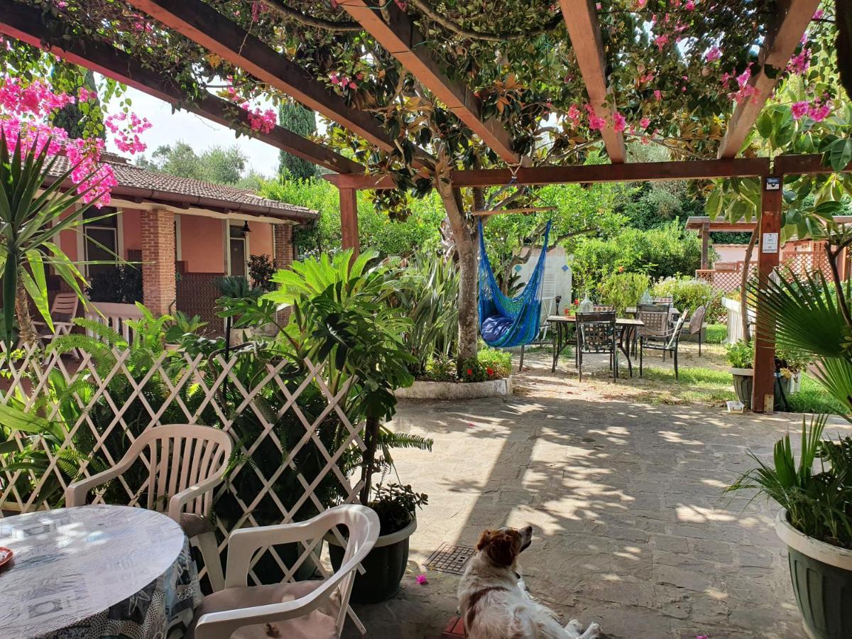 Готель La Capannina Cilento Num 11 San Marco di Castellabate Екстер'єр фото